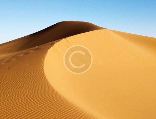 Airline Logos: The 20 Best and Worst Examples